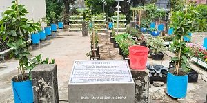 SUD-Rooftop Garden-Products-300x150