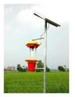 Solar Light Trap-800x1030