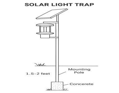 Solar-Light-Trap স্কেচ (1)